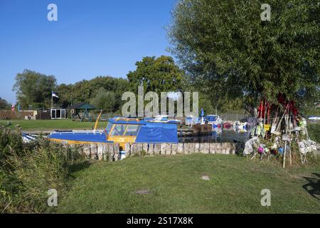 Porto di pesca di Achterwasser, Zempin, isola di Usedom, Mar Baltico, Meclemburgo-Pomerania occidentale, Germania, Europa Foto Stock