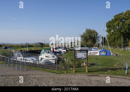 Porto di pesca di Achterwasser, Zempin, isola di Usedom, Mar Baltico, Meclemburgo-Pomerania occidentale, Germania, Europa Foto Stock