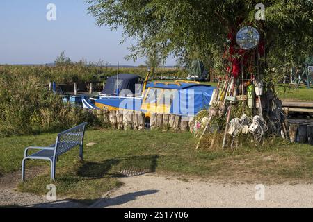 Porto di pesca di Achterwasser, Zempin, isola di Usedom, Mar Baltico, Meclemburgo-Pomerania occidentale, Germania, Europa Foto Stock