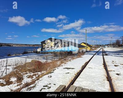 Murale di DNA salato a Miramichi, New Brunswick, Canada Foto Stock