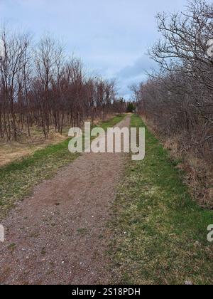 Sentieri al Greenwich National Park a St. Peters Bay, Prince Edward Island, Canada Foto Stock