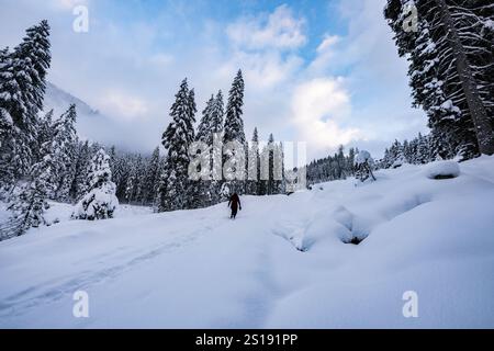 Winterwanderung entlang des Zauchenbachweg bei Schneefall im Inverno ore 23.12.2024. // lungo lo Zauchenbachweg durante le nevicate invernali del 23 dicembre 2024. - 20241223 PD6916 credito: APA-PictureDesk/Alamy Live News Foto Stock