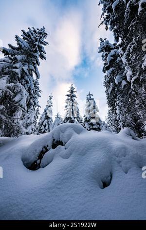 Winterwanderung entlang des Zauchenbachweg bei Schneefall im Inverno ore 23.12.2024. // lungo lo Zauchenbachweg durante le nevicate invernali del 23 dicembre 2024. - 20241223 PD6894 credito: APA-PictureDesk/Alamy Live News Foto Stock