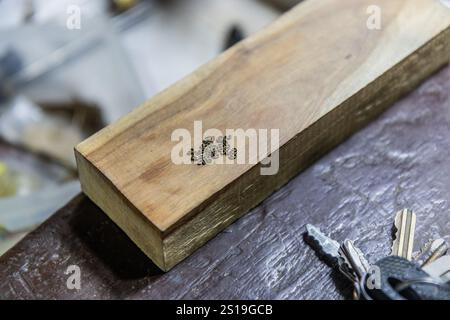 Filigrana realizzata in un laboratorio a Santa Cruz de Mompox, Colombia Foto Stock