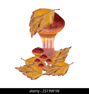 Illustrazione ad acquerello di funghi di burro. Composizione botanica della famiglia dei funghi in foglie autunnali, disegnate a mano. I funghi forestali commestibili sono ma Foto Stock