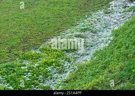 Italia, Lombardia, cristalli di ghiaccio su una foglia Foto Stock