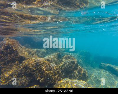 La luce del sole filtra attraverso l'acqua azzurra, illuminando una scena subacquea rocciosa piena di grandi massi ricoperti di alghe e alghe marine. Foto Stock