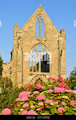 Francia, Cotes d'Armor, fermata sulla via di San Giacomo, di Paimpol, Abbazia di Beauport xiii secolo Foto Stock