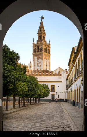 Spagna, Andalusia, Siviglia, distretto di Santa Cruz, Giralda, ex minareto almohade della grande moschea convertito nel campanile della cattedrale, patrimonio dell'umanità dell'UNESCO, visto dalla Plaza del Patio de Banderas di fronte all'Alcazar Foto Stock