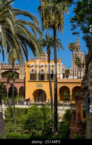 Spagna, Andalusia, Siviglia, l'Alcazar di Siviglia (Reales Alcazares de Sevilla), patrimonio dell'umanità dell'UNESCO, i giardini e il Palacio Gotico Foto Stock