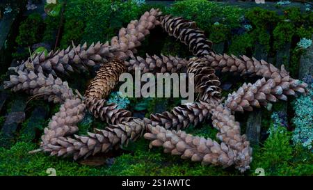 Un pentagramma su sfondo muscoloso. Foto Stock
