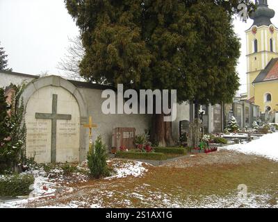 14 febbraio 2009 la tomba dei genitori di Adolf Hitler, Alois e Klara, sotto un albero nel cimitero della chiesa di San Michele a Leonding, alla periferia di Linz, Austria. Foto Stock