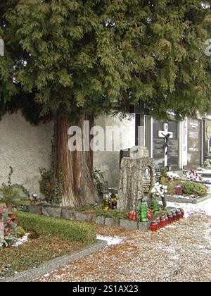 14 febbraio 2009 la tomba dei genitori di Adolf Hitler, Alois e Klara, sotto un albero nel cimitero della chiesa di San Michele a Leonding, alla periferia di Linz, Austria. Foto Stock