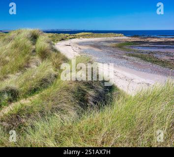 Vista in estate di Coves Haven sull'isola Santa di Lindisfarne nel Northumberland, affacciata sulla spiaggia e sulle dune con la bassa marea Foto Stock