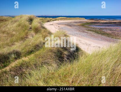 Vista in estate di Coves Haven sull'isola Santa di Lindisfarne nel Northumberland, affacciata sulla spiaggia e sulle dune con la bassa marea Foto Stock