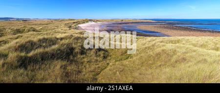 Vista in estate di Coves Haven sull'isola Santa di Lindisfarne nel Northumberland, affacciata sulla spiaggia e sulle dune con la bassa marea Foto Stock