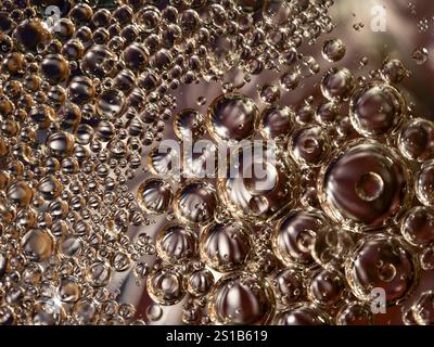 Fondo organico astratto con molte bolle disciolte in liquido. Concetto di laboratorio o cosmetico per l'industria chimica o di bellezza. Texture lucida. Foto Stock