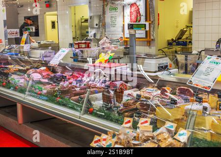 Banco gastronomico con una varietà di salsicce, prosciutto e prelibatezze di carne di prima qualità esposte nel negozio di alimentari. Foto Stock