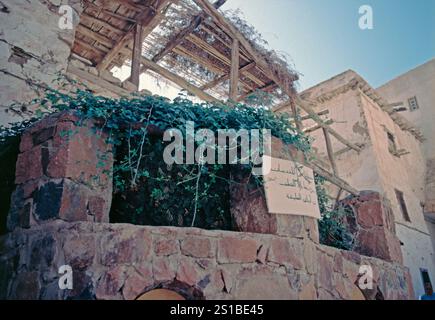 Cappella del cespuglio ardente, il luogo più sacro del monastero, il monastero di Santa Caterina, penisola del Sinai, Egitto, settembre 19899 Foto Stock