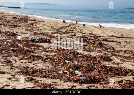 Spazzatura e plastica sulla spiaggia di Playa del Rey che ha fatto il bagno il giorno dopo la tempesta tropicale Hilary ha colpito Los Angeles. 21 agosto 2023. California, Stati Uniti Foto Stock