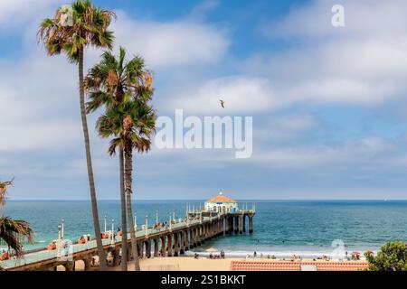 Palme a Manhattan Beach e molo durante la giornata di sole a Los Angeles, California Foto Stock