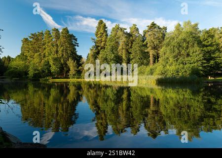 Lago Mallards nella foresta di dean UK Foto Stock
