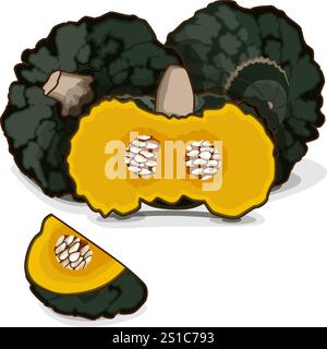 Zucca di Marina di Chiogga intere e tritate o zucca di mare di Chioggia. Squash invernale. Verdure. Clip art. Illustrazione vettoriale isolata. Illustrazione Vettoriale