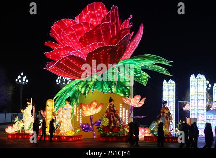 Yinchuan, Cina. 1 gennaio 2025. I cittadini godono delle lanterne a Yinchuan, capitale della regione autonoma Ningxia Hui della Cina nord-occidentale, il giorno di Capodanno del 2025. Credito: Yu Jing/China News Service/Alamy Live News Foto Stock