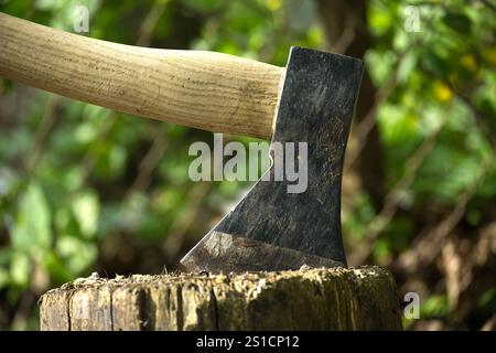 Ascia con manico in legno marrone e testa nera incastonata in un pezzo di legno o ceppo d'albero in una foresta o in un ambiente naturale all'aperto con gr sfocati Foto Stock