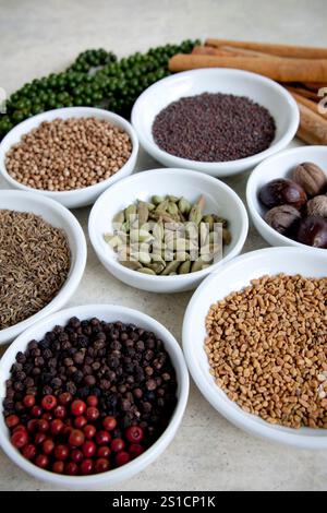Un assortimento di spezie fresche indiane e dello Sri Lanka in ciotole bianche. Foto Stock