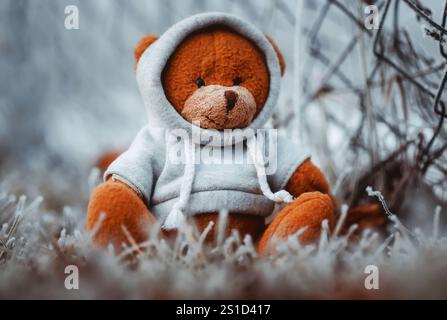 Orsacchiotto di peluche in erba Foto Stock