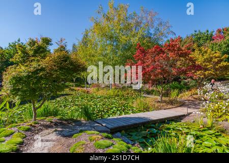 Esplorando la flora e la fauna al Mayfield Garden appena fuori Oberon, nel centro-ovest del nuovo Galles del Sud, Australia. Uno spettacolare giardino privato di 65 ettari Foto Stock