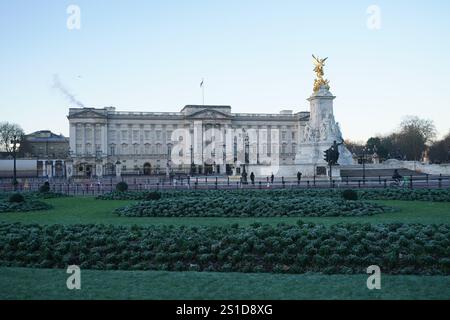 Il ghiaccio copre le piante nel St James's Park di fronte a Buckingham Palace, nel centro di Londra. L'Agenzia per la sicurezza sanitaria del Regno Unito (UKHSA) ha emesso avvisi di salute in caso di basse temperature per tutta l'Inghilterra prima di una settimana di basse temperature. Gli allarmi Amber sono stati emessi dalle 12:00 di giovedì fino all'8 gennaio, il che significa che è probabile un aumento dei decessi, in particolare tra coloro di età pari o superiore ai 65 anni o con condizioni di salute, ha detto l'UKHSA. Data foto: Venerdì 3 gennaio 2025. Foto Stock