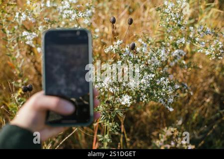 Premi a mano il pulsante di cattura per fotografare i fiori selvatici nel campo soleggiato Foto Stock