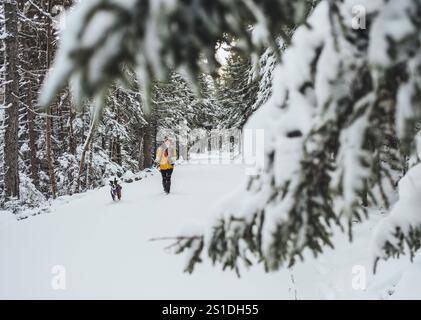 Escursione di donne e cani attraverso la neve nell'Acadia National Park, Maine Foto Stock