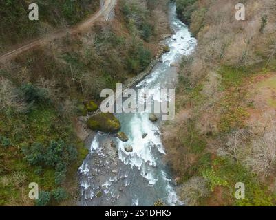Un fiume con fondo roccioso e una foresta verde sullo sfondo Foto Stock