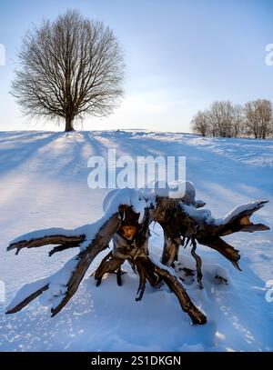 Nevicate invernali nella campagna del Peak District National Park nel nord dell'Inghilterra. Foto Stock