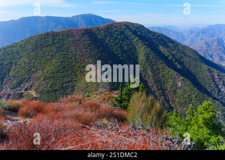 Ampia vista delle lussureggianti montagne verdi e della vibrante vegetazione della Angeles National Forest, che mette in risalto la bellezza naturale della California meridionale. Foto Stock