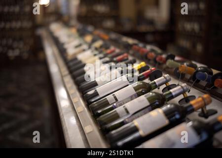 Fila di bottiglie di vino con vino rosso e bianco secco su legno. Bassa profondità di campo. Enoteca e enoteca Foto Stock