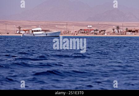 Campeggio, Sharm El Sheikh, Penisola del Sinai, Egitto, settembre 1989 Foto Stock