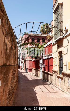 Callejón del Agua, Una tipica strada stretta di Siviglia, case dipinte in cremisi e albero, Andalusia, Spagna Foto Stock