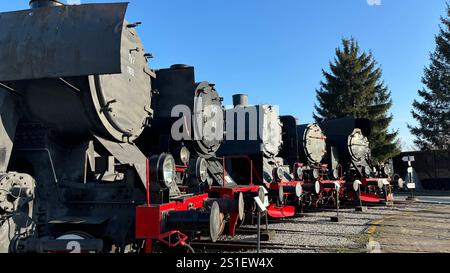 Vecchie locomotive polacche a vapore, diesel ed elettriche al Muzeum Kolejnictwa na Śląsku W Jaworzynie Śląskiej, Polonia. Vecchio trasporto pubblico industriale Foto Stock
