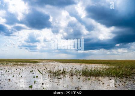 Cieli nuvolosi sopra le praterie aperte delle Everglades della Florida Foto Stock