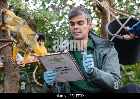 Londra, Regno Unito. 3 gennaio 2025. Un guardiano dello zoo posa con scimmie scoiattolo durante l'inventario annuale degli animali allo ZSL London Zoo. L'evento prevede la registrazione dell'intera collezione di oltre 500 specie, contribuendo a programmi internazionali di allevamento per la conservazione della fauna selvatica in via di estinzione. (Credit Image: © Thomas Krych/ZUMA Press Wire) SOLO PER USO EDITORIALE! Non per USO commerciale! Crediti: ZUMA Press, Inc./Alamy Live News Foto Stock