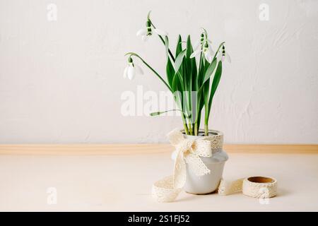 Fiori di neve primaverile in una pentola su un tavolo di legno. Foto Stock