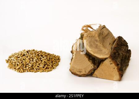 Legna da ardere e pellet di legno tagliati su sfondo bianco Foto Stock