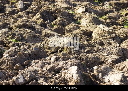 Aratura di terreni arabili in dettaglio Foto Stock