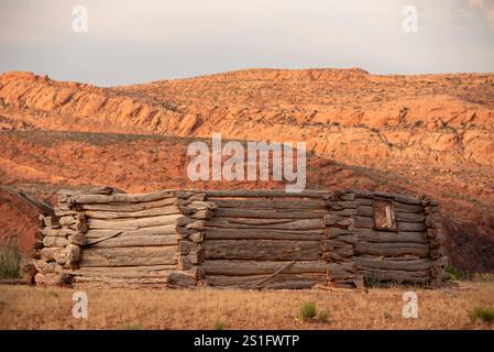 Mucche e rovine di un hogan, Navajo Nation, Utah. Foto Stock