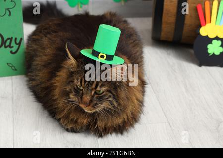 Simpatico gatto in cappello da leprechaun per la festa di San Patrizio sul pavimento Foto Stock