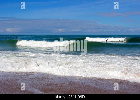 Sessione di surf a Bidart, costa basca. Pyrenees-Atlantiques, Francia Foto Stock